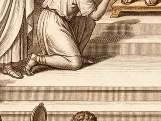 humilis, numbered 13 on an engraved plate
