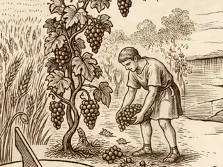 autumnus, numbered 13 on an engraved plate