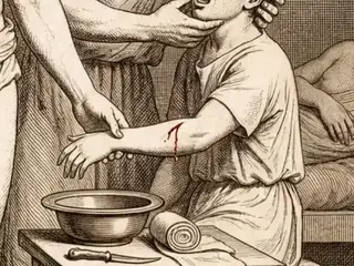 sanguis, numbered 21 on an engraved plate