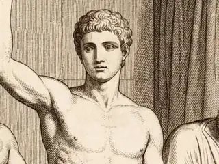 collum, numbered 9 on an engraved plate