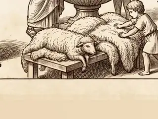 mollis, numbered 22 on an engraved plate